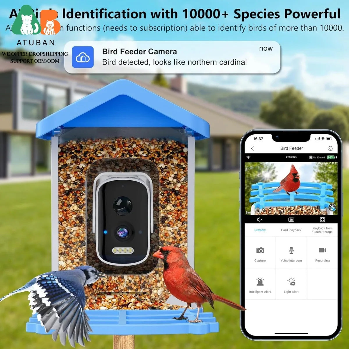 Smart Bird Feeder with Camera, AI Bird Species Identification Solar Powered Panel, 2.5K HD Video Bird House with Camera