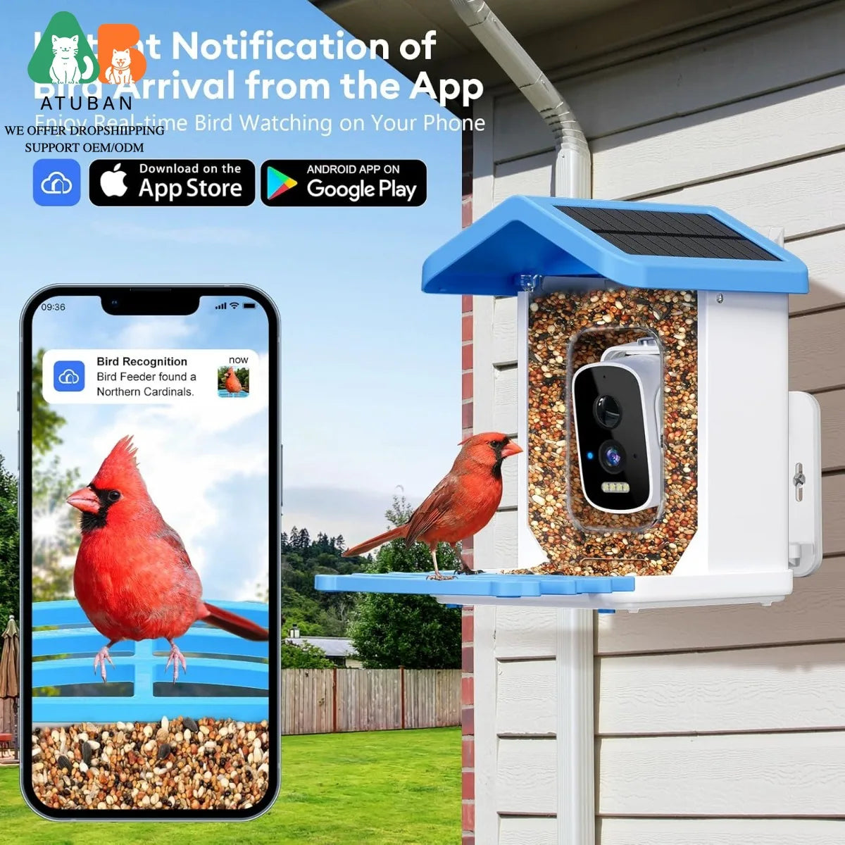 Smart Bird Feeder with Camera, AI Bird Species Identification Solar Powered Panel, 2.5K HD Video Bird House with Camera