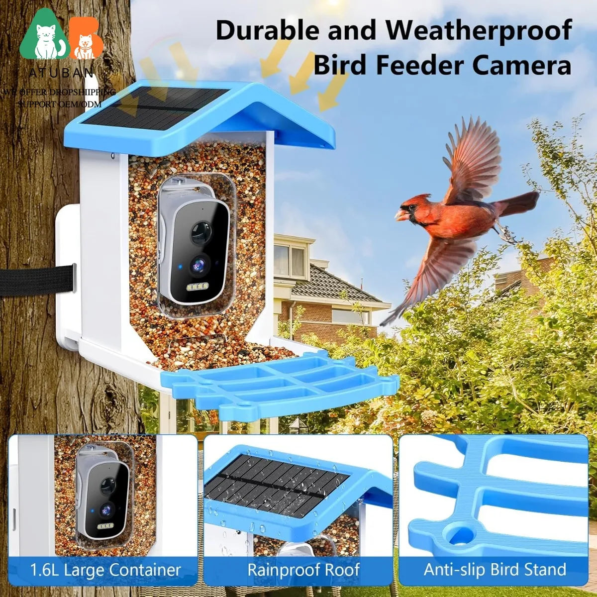 Smart Bird Feeder with Camera, AI Bird Species Identification Solar Powered Panel, 2.5K HD Video Bird House with Camera